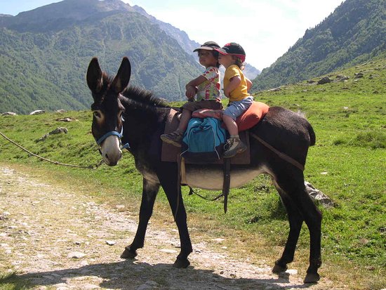 randonnee a la journee ferme aux anes